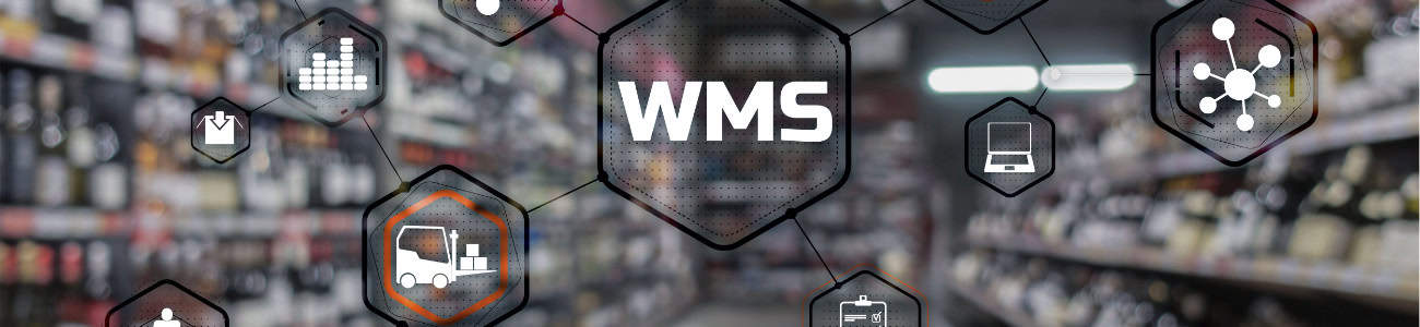 Web-based WMS